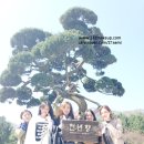 그레이스리뷰티라인 이미지