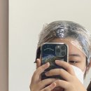 오브데이자르다