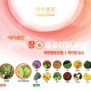 해피클린 이미지