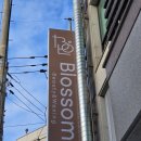 왁싱블로썸 | 블로썸(Blossom) 브라질이언 왁싱 후기