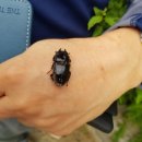 자연사슴농장 이미지