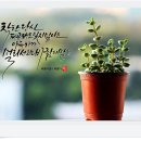바람의말