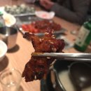 빨간병아리 이미지