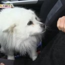 포동이농장 이미지