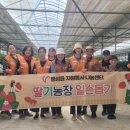 자원농장 이미지