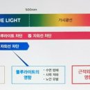 아이비젼안경원 이미지