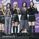 퍼플홀 이미지