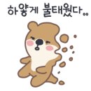 주식회사 마스 이미지