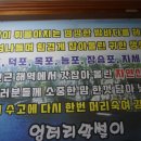 옥포막썰이회해물
