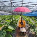 도경농장 이미지