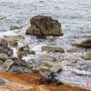 창포 보건진료소 이미지