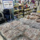 야옹아멍멍해봐 속초점 이미지