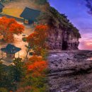 전면 무료화된 국내 3대 전나무 숲 길…부모님이 너무 좋아하는 명소 이미지