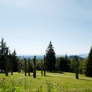 나무그늘파크(park) 이미지