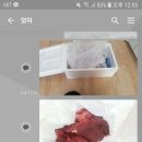 고기야고기야 이미지