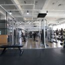 M휘트니스 이미지