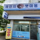 체인지펫미용 이미지