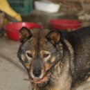 털보세차장 이미지