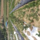 상진농장 이미지