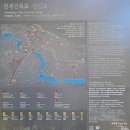 제주 천제연 난대림 | [제주] 중문 관광단지에 위치한 천제연 폭포에서 아름다운 경치를 감상해 보자!!🌄🌄🌄🌄