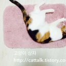 심재웅동물병원 이미지