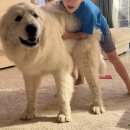 옥정숲속어린이집 이미지