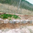 반딧불 가족농원 이미지