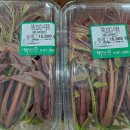 원희 농장 이미지