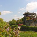 수원-1791 이미지