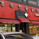 봄봄동물병원 이미지