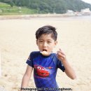 남해모터스 Daum카페