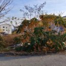 소로2-10(혁신도시) 이미지