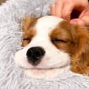 다정한병원 이미지