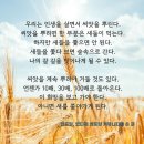 양준일 말과 글_오늘의 키워드 씨앗, 지속성 이미지