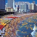 코베라미용실 - 포항시 남구 일월로 118 | 코베라미용실