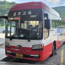 섬진강(순천) 이미지