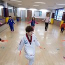 한양대 송라 태권도장 이미지