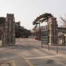 조치원_고려대학교 정문 네이버블로그