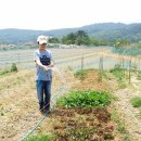 동국농장 이미지