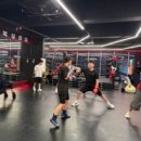 작심삼일 | 제주복싱 시작하고 퇴근 후 스트레스까지 날려버린 국가대표 복싱센터 외도점 후기