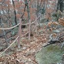 오남호수공원[오남-1] Daum카페