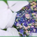 자연행복한의원 이미지