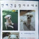 코코네 이미지