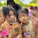 국원유치원 이미지