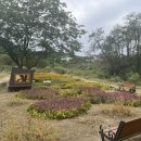 마을정원유지관리 이미지