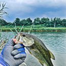 왕숙천 자전거도로8 이미지