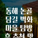 논골담길3 | 동해 논골담길 벽화마을 탐방 후 추천 맛집
