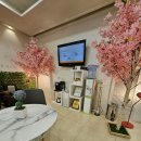 지앤미치과의원 이미지