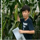 평창흰구름산촌마을 이미지