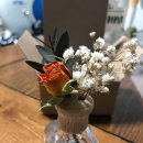 로즈아씨 네이버블로그